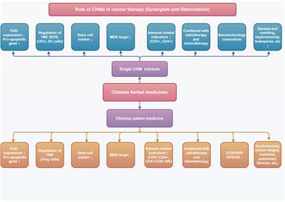 Integrating Chinese medicine into mainstream cancer therapies: a promising future